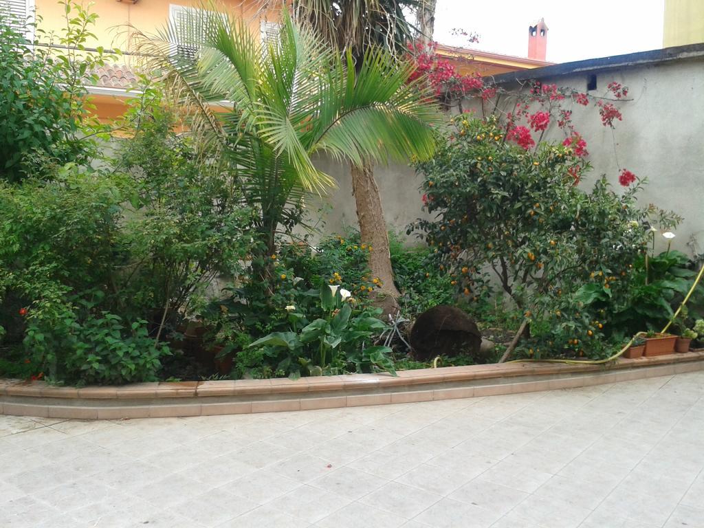 Bed And Breakfast Le Petunie Bari Sardo Exteriér fotografie